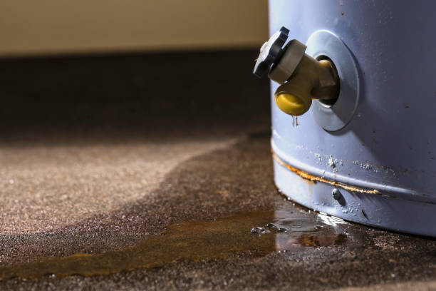 Best Water damage restoration company  in Sebewaing, MI