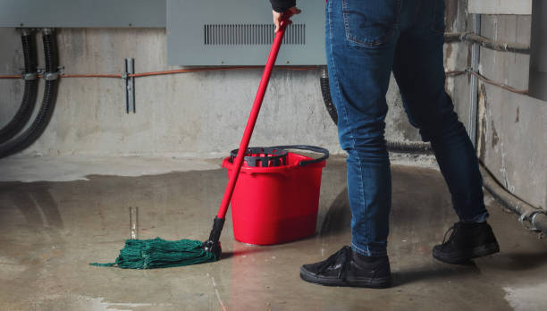 Best Emergency water damage restoration  in Sebewaing, MI