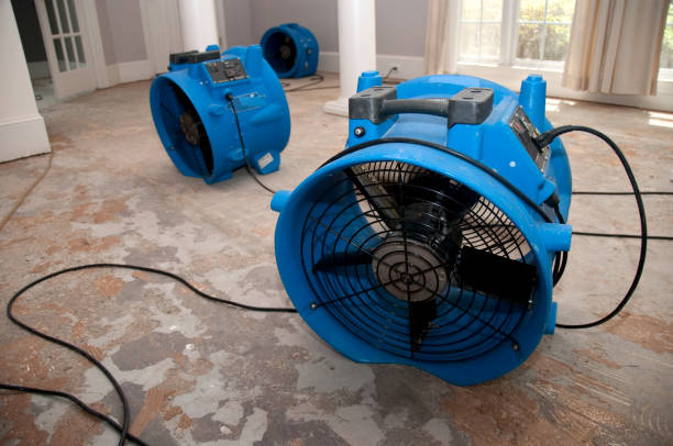 Sebewaing, MI Water damage restoration Company