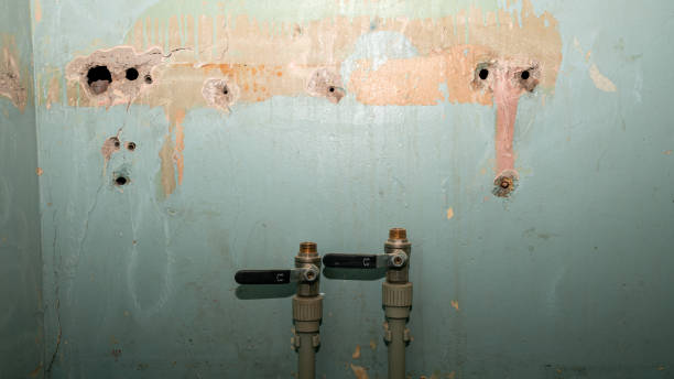 Best Residential water damage restoration  in Sebewaing, MI