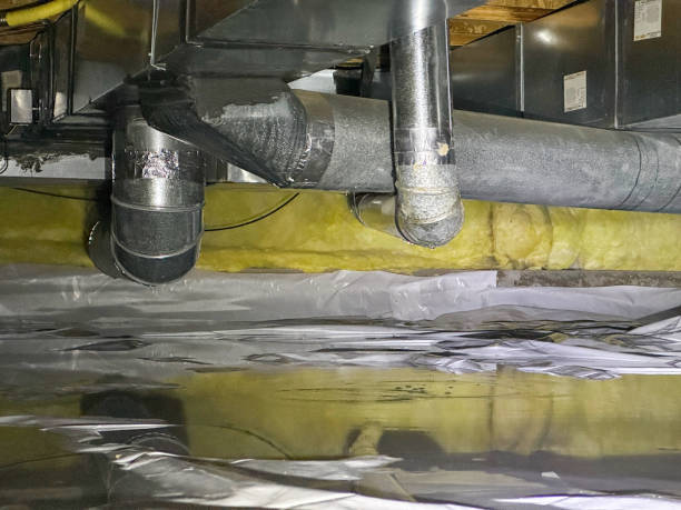 Best Water damage restoration near me  in Sebewaing, MI
