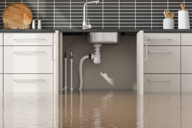 Best Water damage restoration near me  in Sebewaing, MI