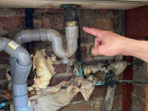 Best Water damage cleanup near me  in Sebewaing, MI