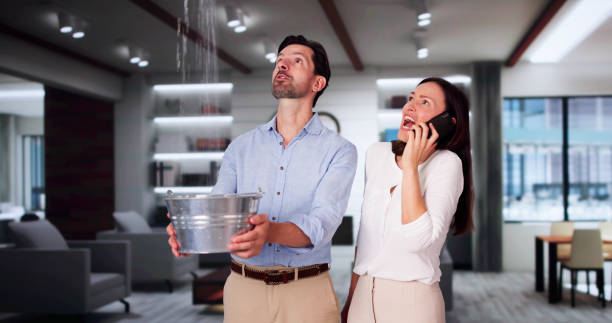 Best Flood damage cleanup  in Sebewaing, MI