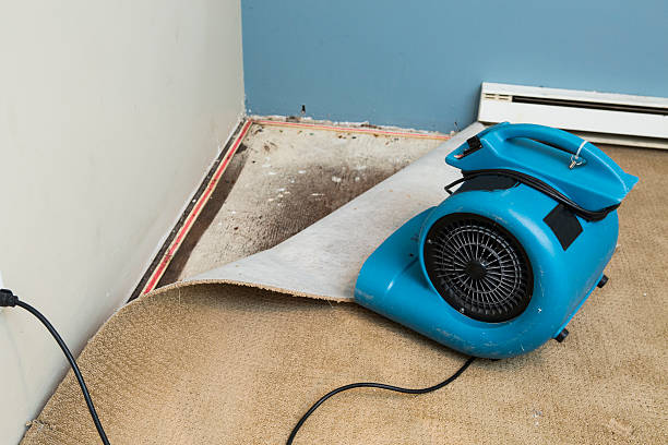 Best Flooded house restoration  in Sebewaing, MI